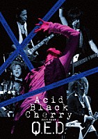 Ａｃｉｄ　Ｂｌａｃｋ　Ｃｈｅｒｒｙ「 Ａｃｉｄ　Ｂｌａｃｋ　Ｃｈｅｒｒｙ　２００９　ｔｏｕｒ　“Ｑ．Ｅ．Ｄ．”」