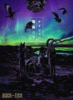 ＢＵＣＫ－ＴＩＣＫ「 ナイショの薔薇の下　２０２４」