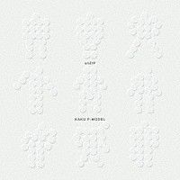 核Ｐ－ＭＯＤＥＬ「 ｕｎＺＩＰ」