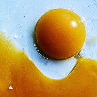 ＲＡＤＷＩＭＰＳ「 あにゅー」