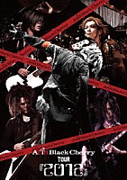 Ａｃｉｄ　Ｂｌａｃｋ　Ｃｈｅｒｒｙ「 Ａｃｉｄ　Ｂｌａｃｋ　Ｃｈｅｒｒｙ　ＴＯＵＲ　『２０１２』」