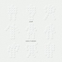 核Ｐ－ＭＯＤＥＬ 「ｕｎＺＩＰ」