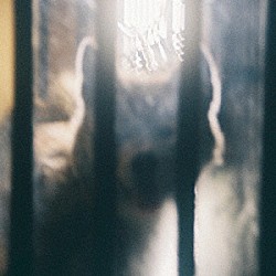 田中ヤコブ「にほひがそこに」