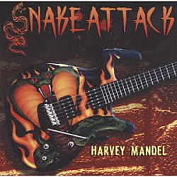ハーヴェイ・マンデル「スネーク・アタック」