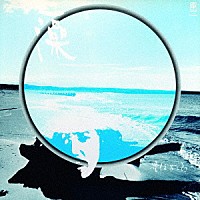 豊住芳三郎「 藻」