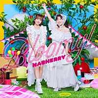 ＮＡＣＨＥＲＲＹ「 Ｂｅｓｔ　Ａｌｂｕｍ「Ｂｌｏｏｍｙ！」」
