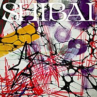 龍宮城「 ＳＨＩＢＡＩ　（Ｄｅｌｕｘｅ）」