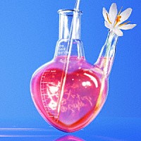 ＴＨＥ　ＢＥＡＴ　ＧＡＲＤＥＮ「 エレメント」