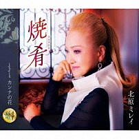北原ミレイ 「焼肴／カンナの花」