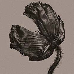 ペット・ショップ・ボーイズ「リリース」