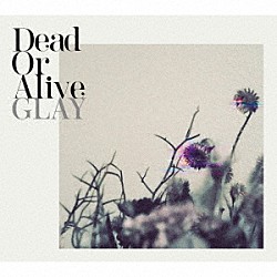 ＧＬＡＹ「Ｄｅａｄ　Ｏｒ　Ａｌｉｖｅ」