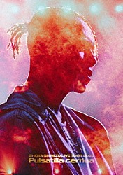 清水翔太「ＳＨＯＴＡ　ＳＨＩＭＩＺＵ　ＬＩＶＥ　ＴＯＵＲ　２０２５　‘Ｐｕｌｓａｔｉｌｌａ　ｃｅｒｎｕａ’」