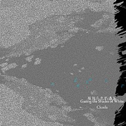 Ｃｉｃａｄａ「Ｇａｚｉｎｇ　ｔｈｅ　Ｓｈａｄｅｓ　ｏｆ　Ｗｈｉｔｅ」
