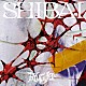 龍宮城「ＳＨＩＢＡＩ　（Ｄｅｌｕｘｅ）」