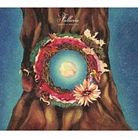 ｋｅｎｍｏｃｈｉ　ｈｉｄｅｆｕｍｉ「 Ｆａｌｌｉｃｃｉａ」