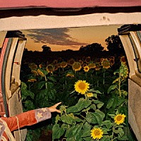 Ｋｅｖｉｎ　Ｍｏｒｂｙ「 Ｌｉｔｔｌｅ　Ｗｉｄｅ　Ｏｐｅｎ」