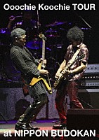 Ｏｏｏｃｈｉｅ　Ｋｏｏｃｈｉｅ「 Ｏｏｏｃｈｉｅ　Ｋｏｏｃｈｉｅ　ＴＯＵＲ　ａｔ　ＮＩＰＰＯＮ　ＢＵＤＯＫＡＮ」