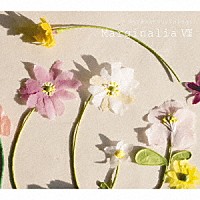 高木正勝「 マージナリアⅧ」