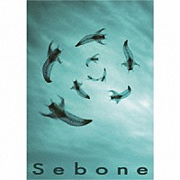 とた「 Ｓｅｂｏｎｅ　－脊髄盤＋脊椎盤－」