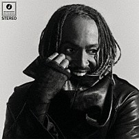 サンダーキャット 「ディストラクテッド」