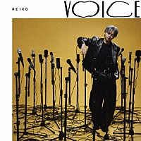 ＲＥＩＫＯ「 ＶＯＩＣＥ」
