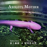 Ｒｏｏｆｔｏｐ　Ｃａｍｅｌｓ　屋上駱駝＋按田佳央理「 ＡＸＯＬＯＴＬ　ＭＯＴＨＥＲ」