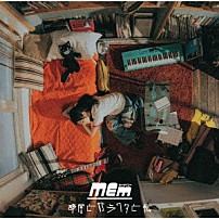 ミーマイナー 「部屋とガラクタと私」