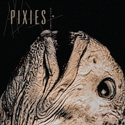 Ｐｉｘｉｅｓ「Ｃｏｍｐｌｅｔｅ　Ｂ　Ｓｉｄｅｓ：　１９８８－９７」