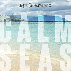 ジェイク・シマブクロ「カーム・シーズ」