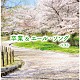 （Ｖ．Ａ．） 音羽ゆりかご会 タンポポ児童合唱団 ひまわりキッズ ひばり児童合唱団 杉並児童合唱団 折本吉数 藤家虹二クインテット＋α「卒業＆エール・ソング　ベスト」