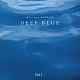 （Ｖ．Ａ．） 畠山地平 ［．ｑｕｅ］ Ｋａｏｒｕ　Ｉｎｏｕｅ ＹＡＫＥＮＯＨＡＲＡ Ｃａｌｍ Ｎａｔｕｒａｌ　Ｃａｌａｍｉｔｙ Ｓｈｉｍｏｎ　Ｈｏｓｈｉｎｏ「ＳＡＬＴ．．．　ｍｅｅｔｓ　ＩＳＬＡＮＤ　ＣＡＦＥ　ＤＥＥＰ　ＢＬＵＥ」