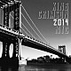 キング・クリムゾン「２０１４ＮＹＣ　ｉｎ　ＳＨＭ－ＣＤ」