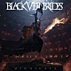 Ｂｌａｃｋ　Ｖｅｉｌ　Ｂｒｉｄｅｓ「ＶＩＮＤＩＣＡＴＥ」