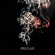 ＴＨＥ　ＭＯＤＳ「ＳＭＯＫＩＮ’　ＧＵＮ　～Ｆｏｒｅｖｅｒ　Ｈｉｔｓ：Ｆａｎ　Ｅｄｉｔｉｏｎ　４５～」