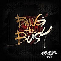 １００％「 ２ＮＤ　ＭＩＮＩ　ＡＬＢＵＭ　：　ＢＡＮＧ　ＴＨＥ　ＢＵＳＨ」