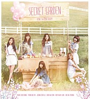 Ａ－ＰＩＮＫ「 ３ＲＤ　ＭＩＮＩ　ＡＬＢＵＭ　：　ＳＥＣＲＥＴ　ＧＡＲＤＥＮ」