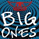 ＡＥＲＯＳＭＩＴＨ「ＢＩＧ　ＯＮＥＳ」