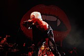 VAMPS「■VAMPS■ ワールドツアー完結！！南米チリにて5000人が大熱狂！！」1枚目/1