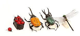 「宇宙人 アメリカ村周辺13会場で開催の【見放題2012】出演」