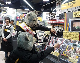 「オオカミバンド オリコン4位＆タワレコ1日店長に就任」