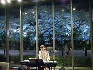 「熊木杏里 満開の桜を背景に桜歌歌唱「風になった」」