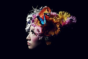 「たむらぱん 5周年記念SGの驚きジャケ＆豪華DVD内容を発表」