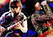 B&#039;z「B&amp;#039;z 最新ライブ映像作品に『いつかのメリークリスマス』を初収録」1枚目/1