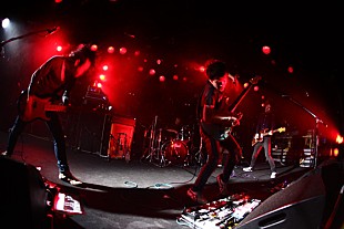 「cinema staff メジャー進出に強い決意 「続けてきて良かった」」