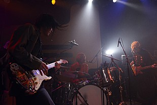 「髭 恒例の仮装イベント大盛り上がり 「みんなといる時だけが真実」」