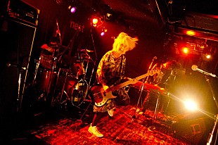 「元School Food Punishment蓮尾 385正式加入」