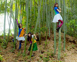 「衝撃アイドルグループ 新メンバーは人数も性別も人間かも不明」