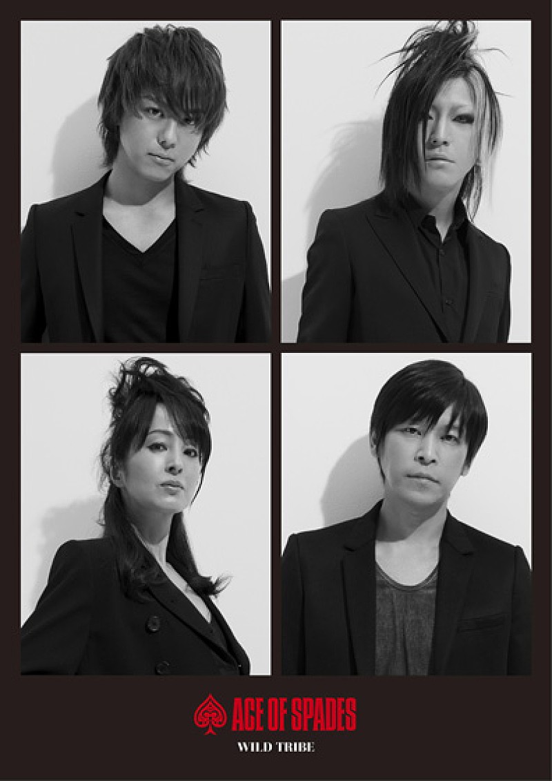 「『WILD TRIBE』　［豪華盤］」4枚目/4