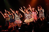 Ｃｈｅｅｋｙ　Ｐａｒａｄｅ「」24枚目/28