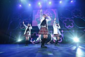 さくら学院科学部科学究明機構ロヂカ？「BABYMETALに続け！ さくら学院の新部活はエレクトロな科学部」1枚目/6